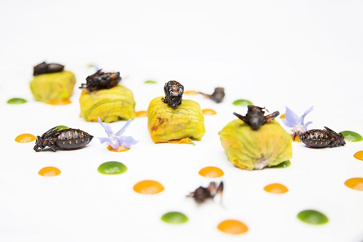 Limosneros_cocopaches and ravioli of squash blossom flower_cropped.jpg