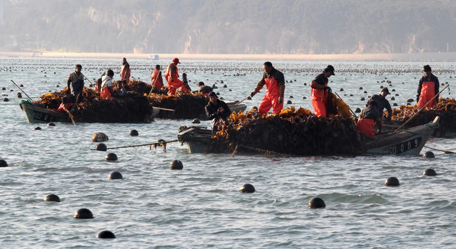 Sea of Shandong province