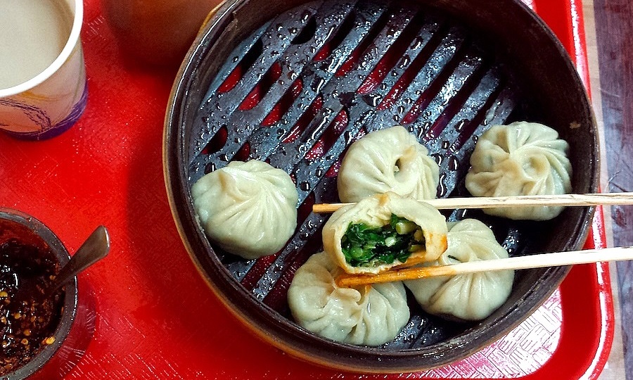 Field Guide to Tibetan Momos of Queens